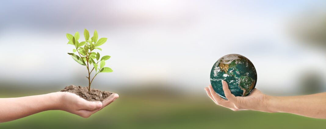 Фото земли на зеленом фоне Green Earth concept stock photo. Image of earth, hold 46168142